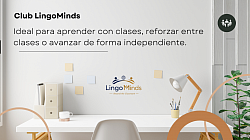 Avanza a tu ritmo con apoyo estructurado y clases online